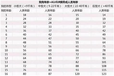 属狗的今年几岁|生肖狗今年多大年龄2024 2024年属狗的多大